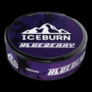 Iceburn - Modern - 75mg - Blueberry